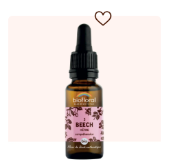 Fleur de Bach n°03 Beech Hêtre