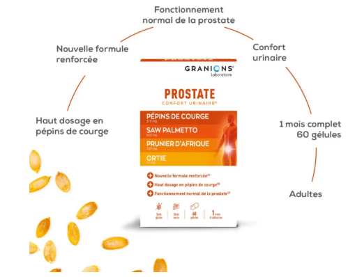 Fonctionnement normal de la prostate